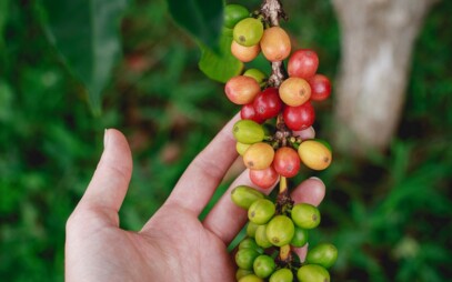 How a Cup of Coffee Can Change the World? Check an Episode of the “Podcast Full of Life” with Jiří Hejkrlík