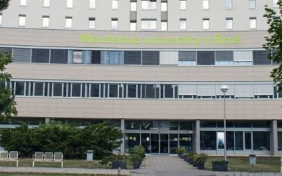 Faculty of Regional Development and International Studies