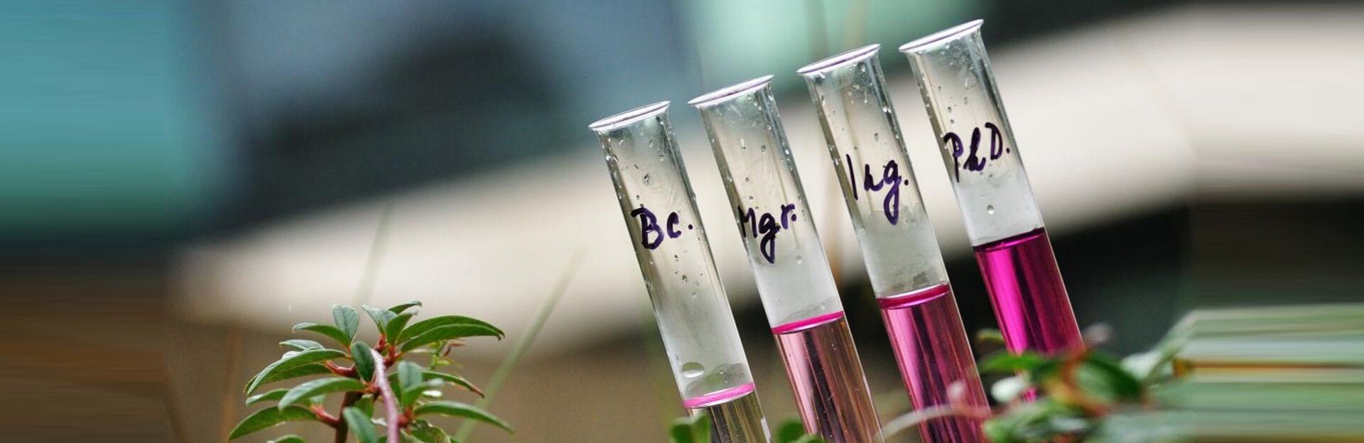 Faculty of Chemical Technology  (FChT&nbsp;UPCE)