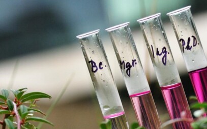 Faculty of Chemical Technology 