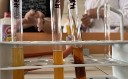 From Classroom Straight to Laboratory: A Story That Could Be Yours Too