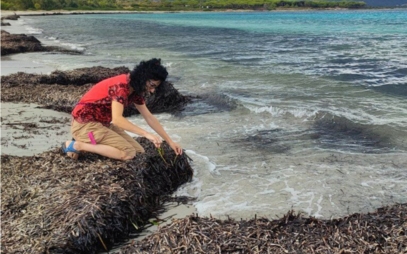 Science team focuses on the decline of seagrasses, important ocean ecosystems