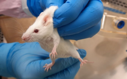 Research into a drug to help fight cancer gets a new boost