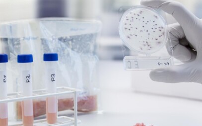 Faculty of Food and Biochemical Technology 