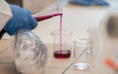 Stanford University Research: Hradec Králové University Scientists among the Best 2%
