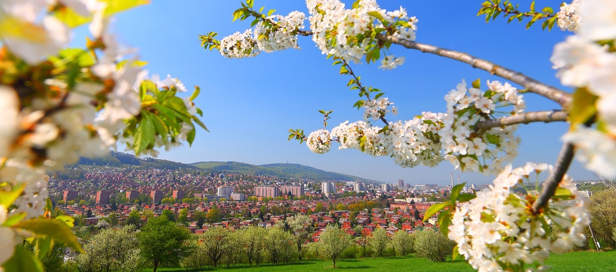 zlin_1