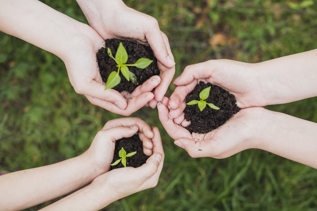 ecology plants