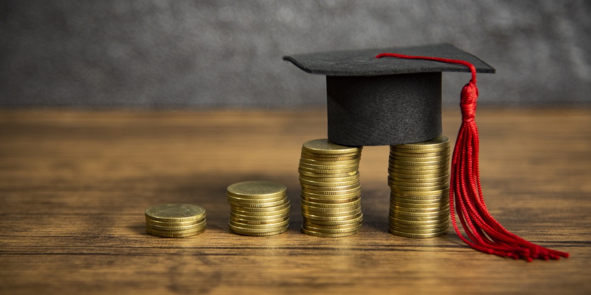 scholarships to students from developing countries
