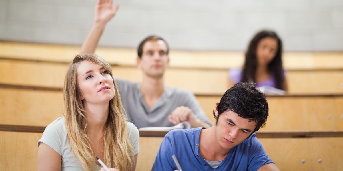 freshman at the university