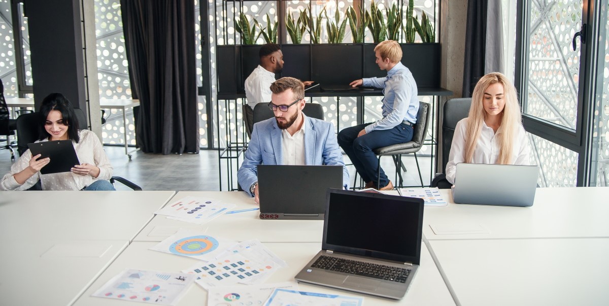 Erasmus for Young Entrepreneurs