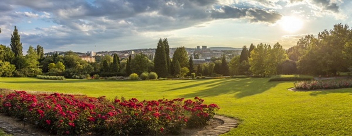arboretum
