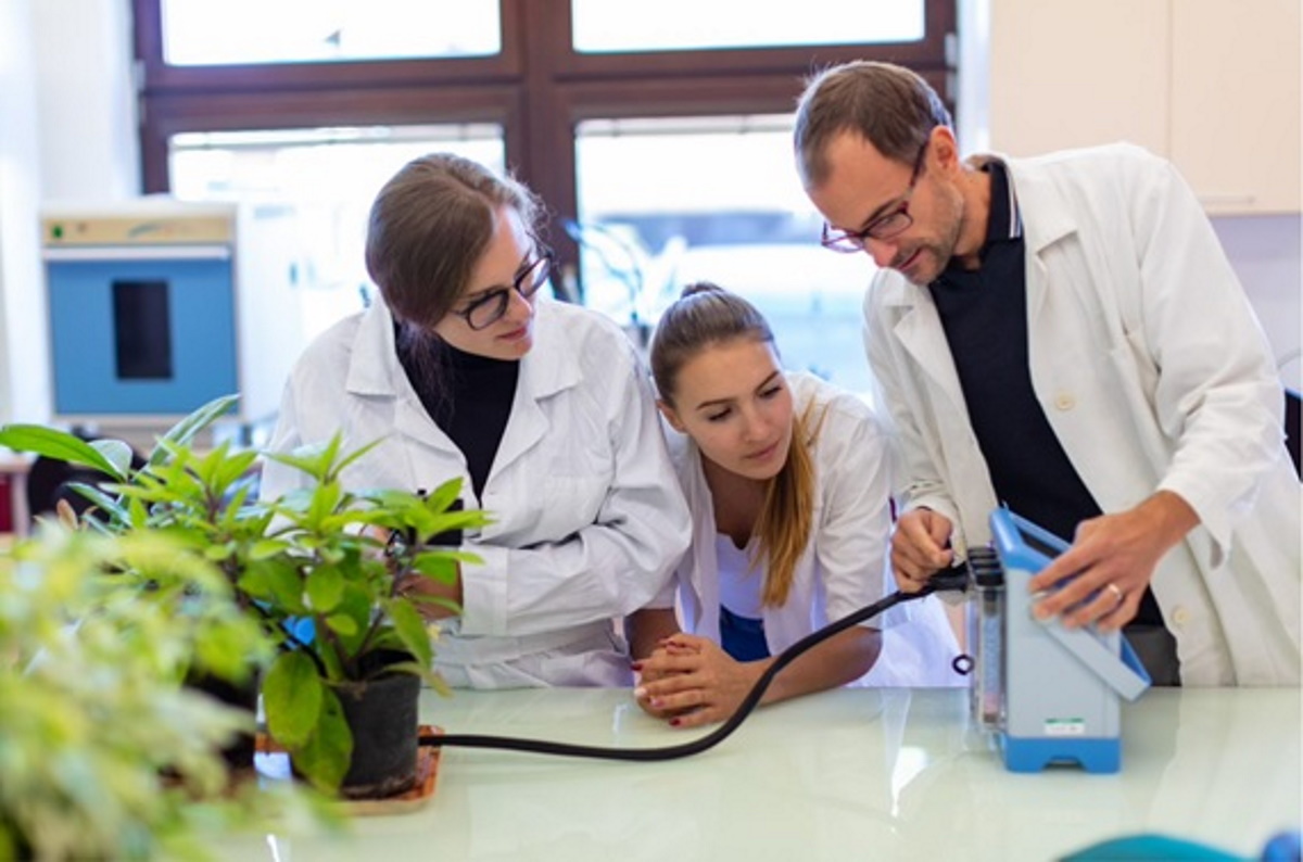 laboratory mandelu