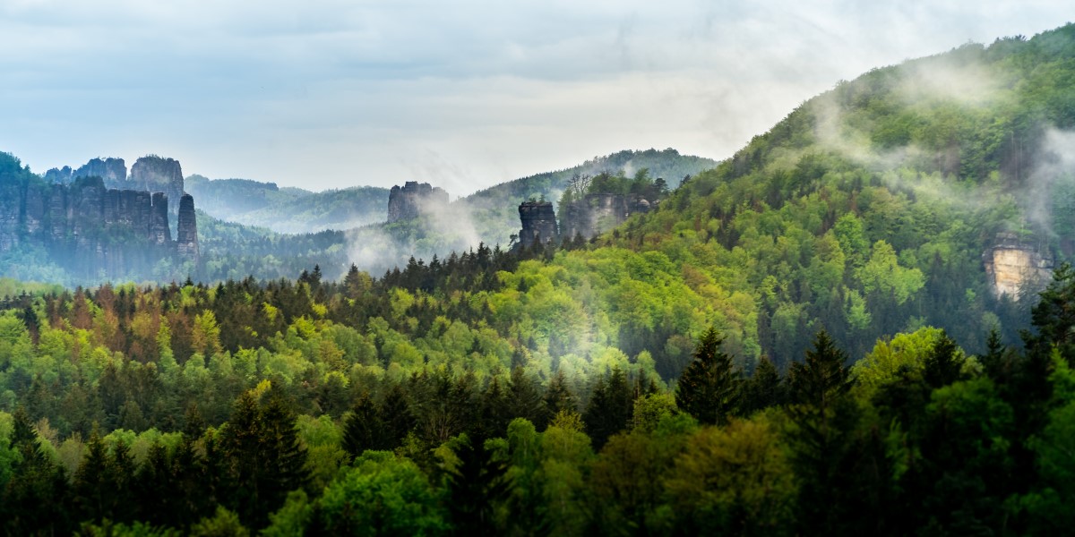 study in Czechia