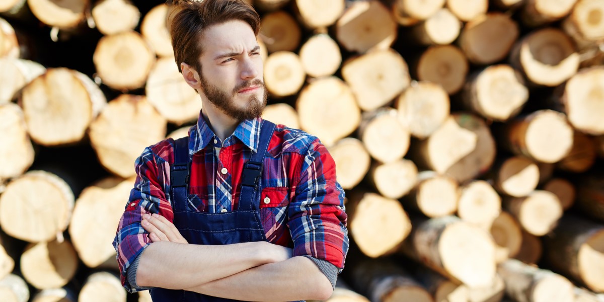 Study Forestry at Mendel University, Brno