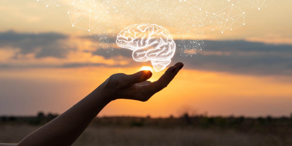 Study Psychology and Social Sciences in the Czech Republic