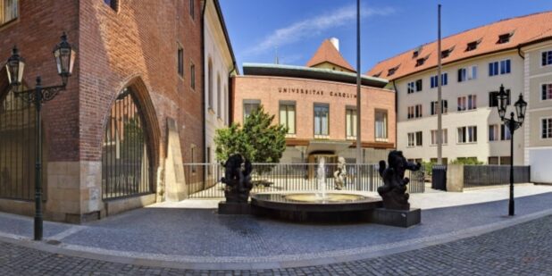 My Journey from Charles University to the Royal Victoria Infirmary